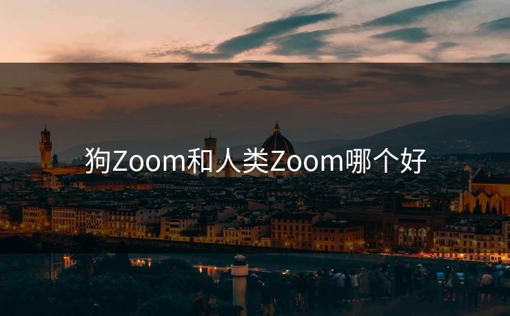 狗Zoom和人类Zoom哪个好